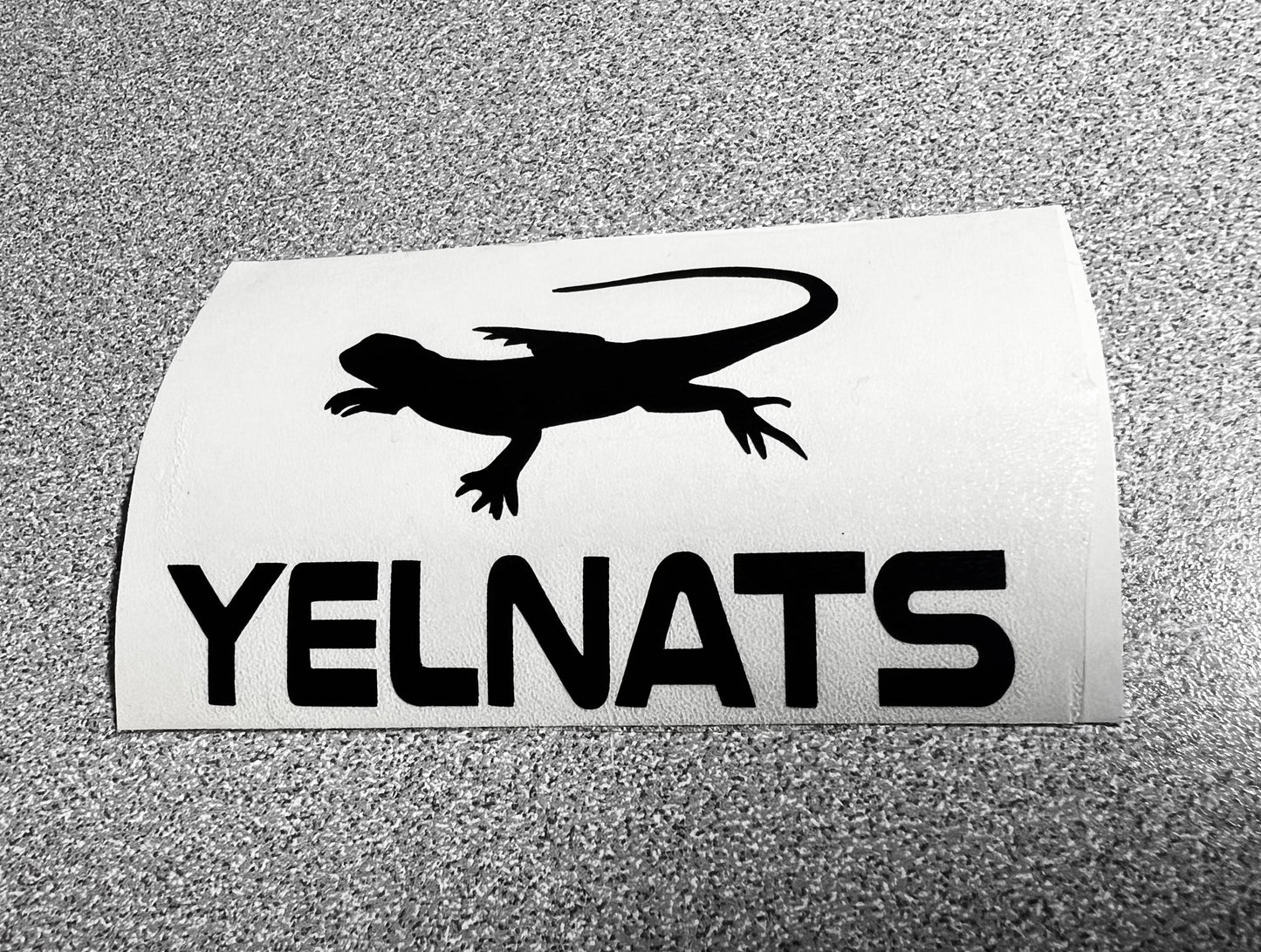 Stanley Yelnats Vinyl Decal