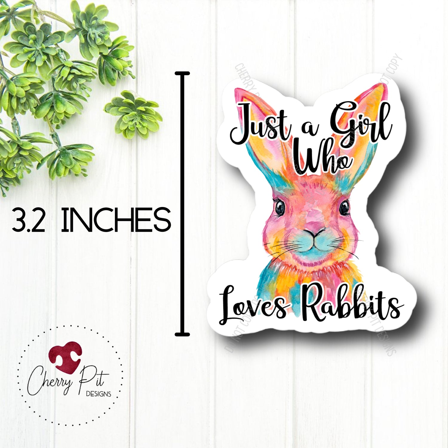 Just a Girl Who Loves Rabbits Vinyl Sticker Decal - Cherry Pit Designs